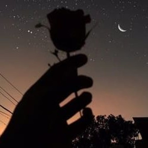 久草手机福利在线观看
