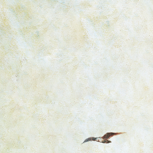 久草手机福利在线观看
